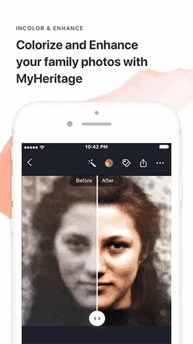myheritage直装版图1