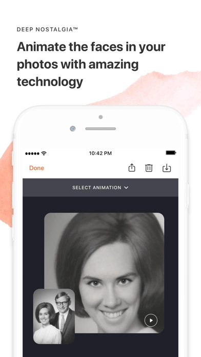 myheritage直装版图4