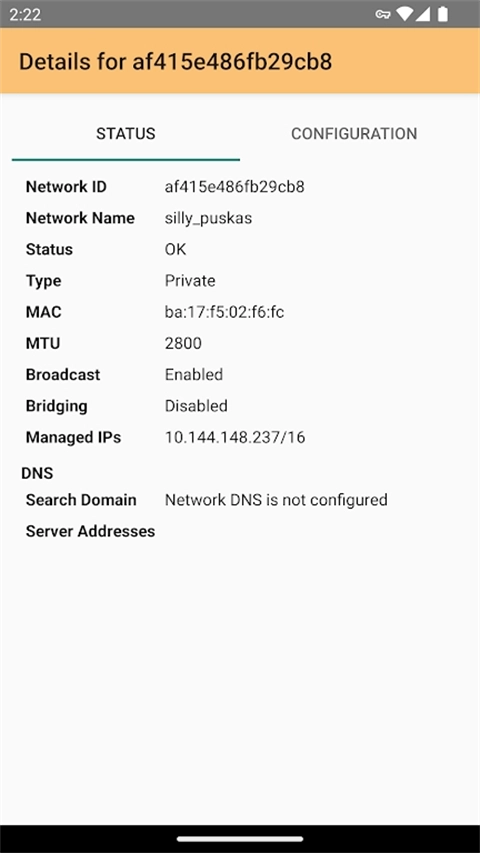 ZerotierOne手机版图2