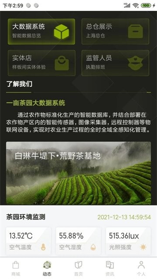 一亩茶园正版图3