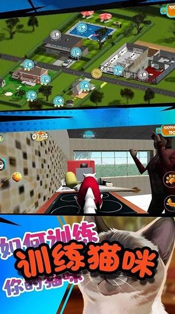 极速流浪猫游戏完整版图1