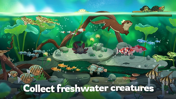 池趣养鱼安卓直装版图1