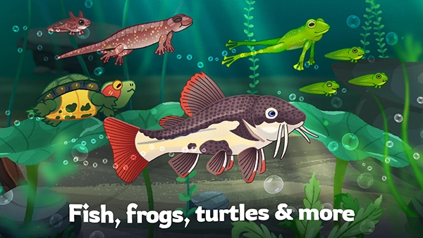 池趣养鱼安卓直装版图2