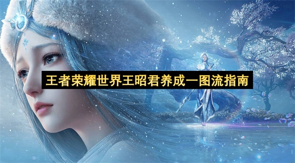 王者荣耀世界王昭君培养攻略一图流