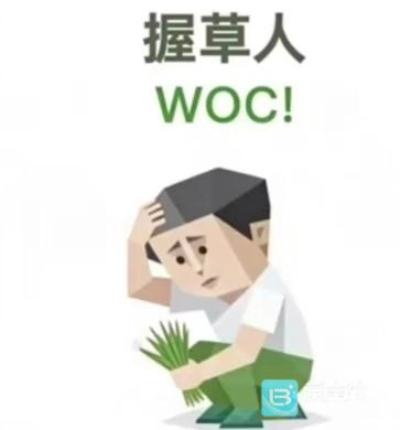 SBTI测试中“握草人”人格的详细说明