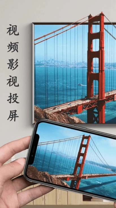 蓝莓投屏安卓免费版图3