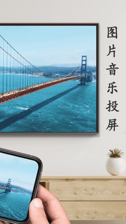 蓝莓投屏安卓免费版图4