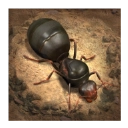 蚂蚁地下王国直装游戏版