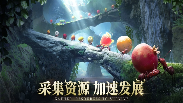 蚂蚁地下王国免费版(4)