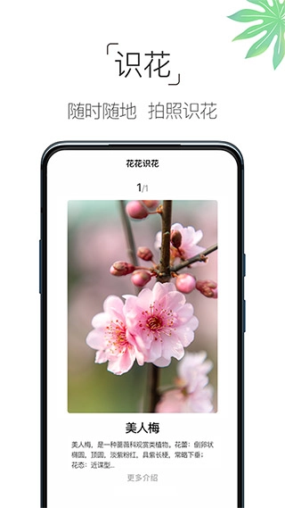 养花大全软件免费原版图1