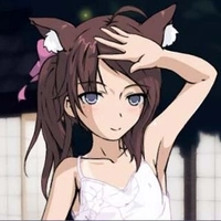 被弄湿的夏天纸巾盒无广告版