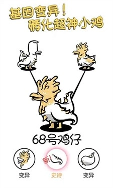 小鸡真奇怪游戏官方最新版图1