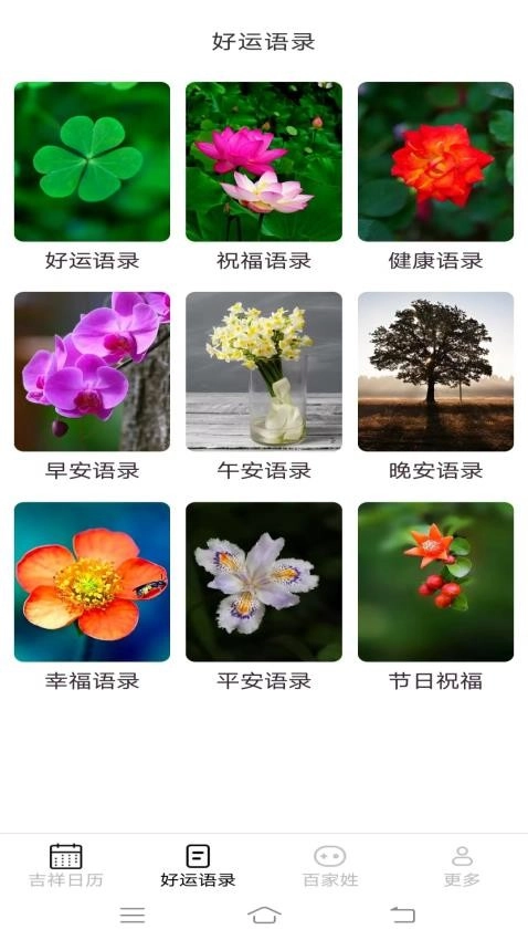 吉祥如意来无广告版图1