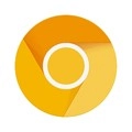 Chrome金丝雀正版 v133.0.6943.121