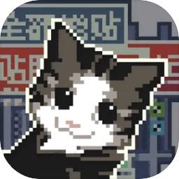 喵师傅你是干什么的无广告版