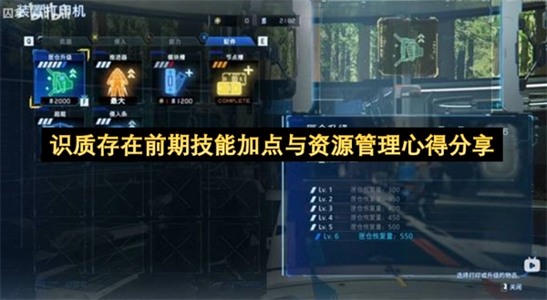 识质存在前期技能加点与资源管理的经验分享
