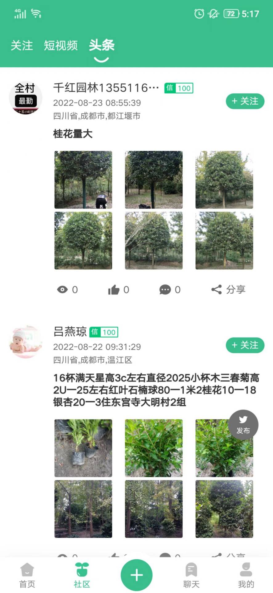 树之道原版图1