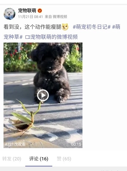 Share微博客户端安卓版下载