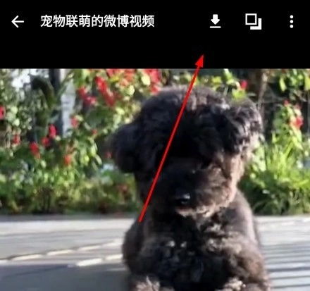 Share微博客户端安卓版下载