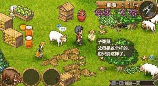 欢迎来到绵羊村安卓官方版图2
