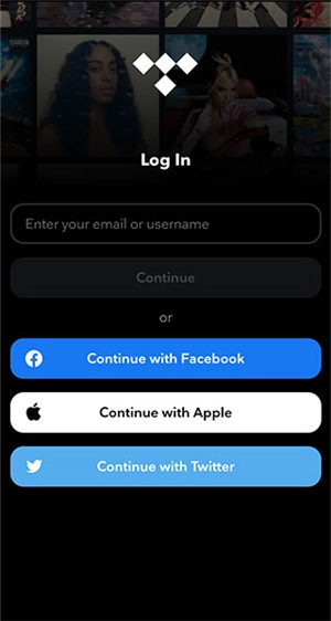 Tidal正版图2