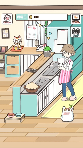 猫咪饲养日常直装版图2