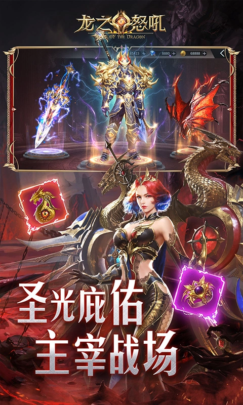 龙之怒吼直装版图3
