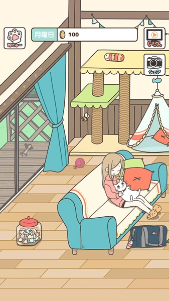猫咪饲养日常直装版图3