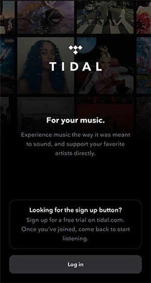Tidal正版图1