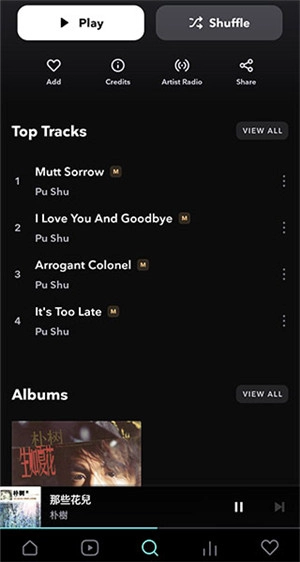 Tidal正版图3