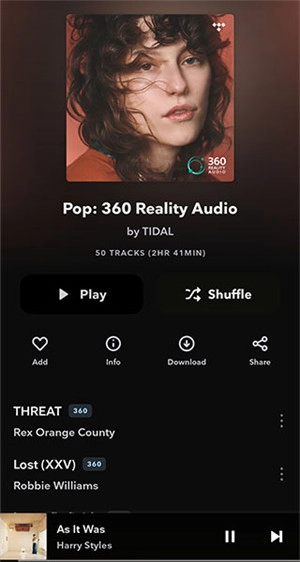 Tidal正版图5