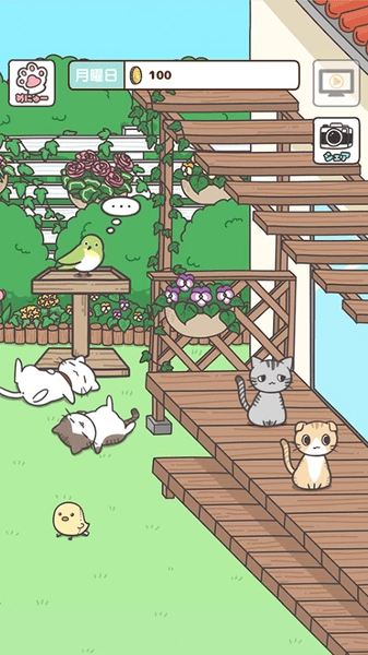猫咪饲养日常直装版图4