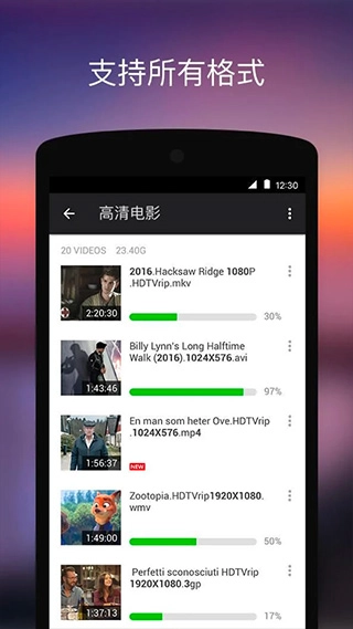 XPlayer高级版图1