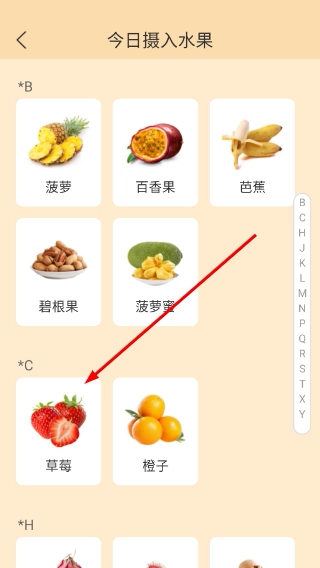 水果宝盒官方版下载