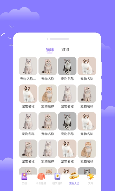 四方通天气正版图1