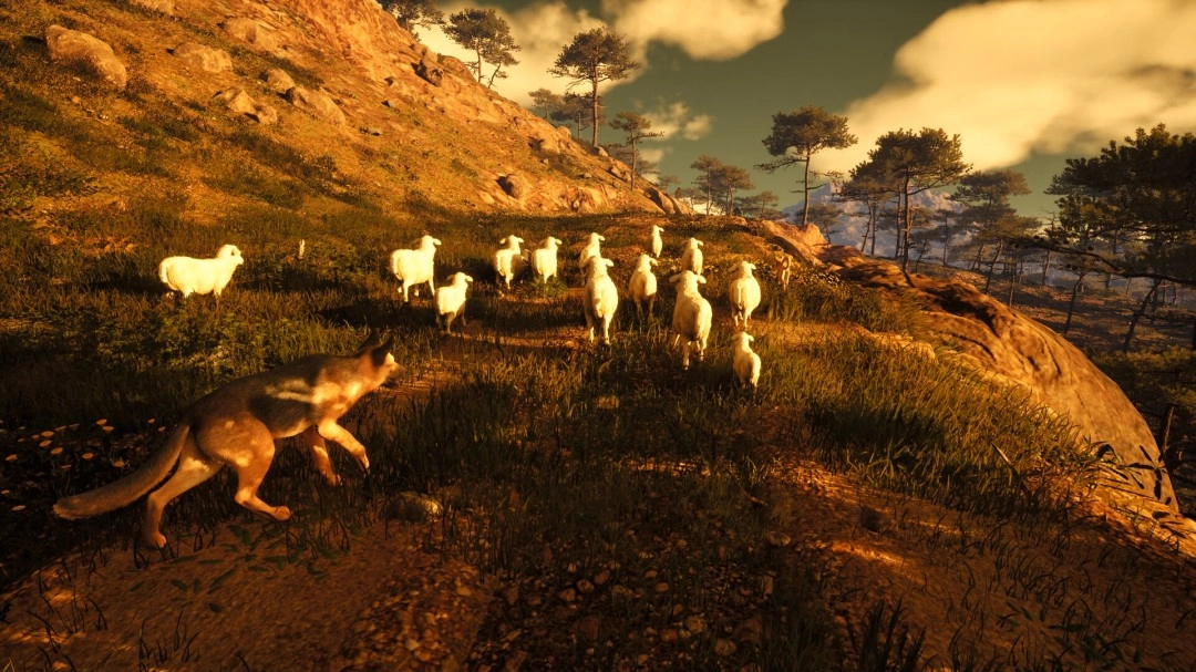 想在中世纪放羊吗？《中世纪牧羊人》登陆Steam平台啦