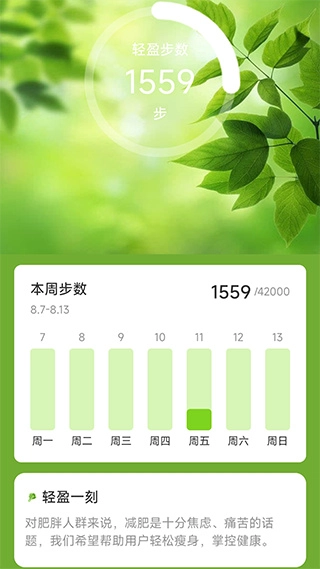轻盈计步截图0