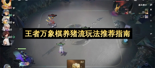 王者万象棋养猪流玩法实用指南