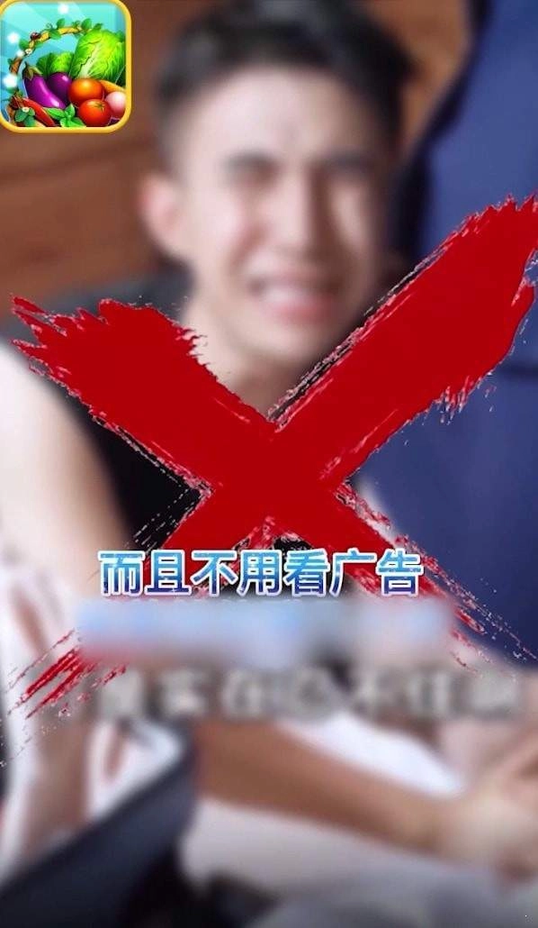 菜市场模拟器种菜赚钱版图2