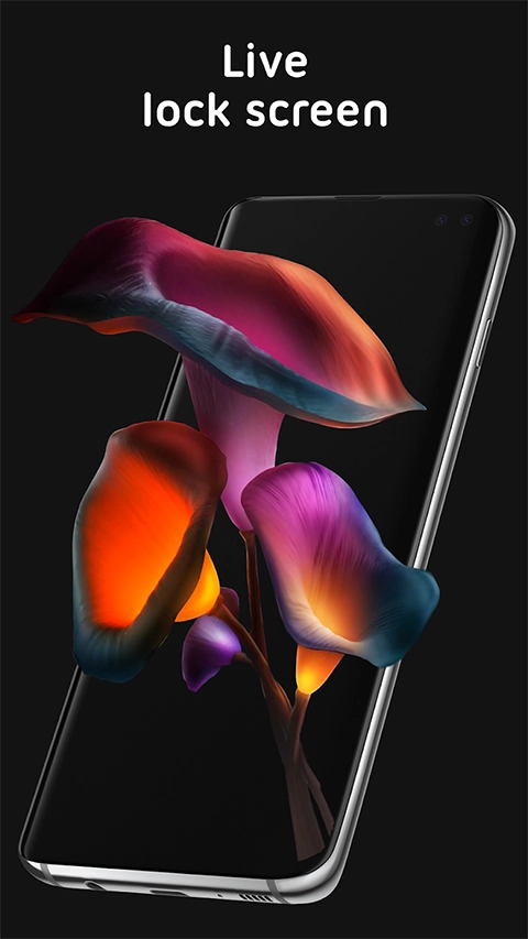pixel4d壁纸安卓免费版图3