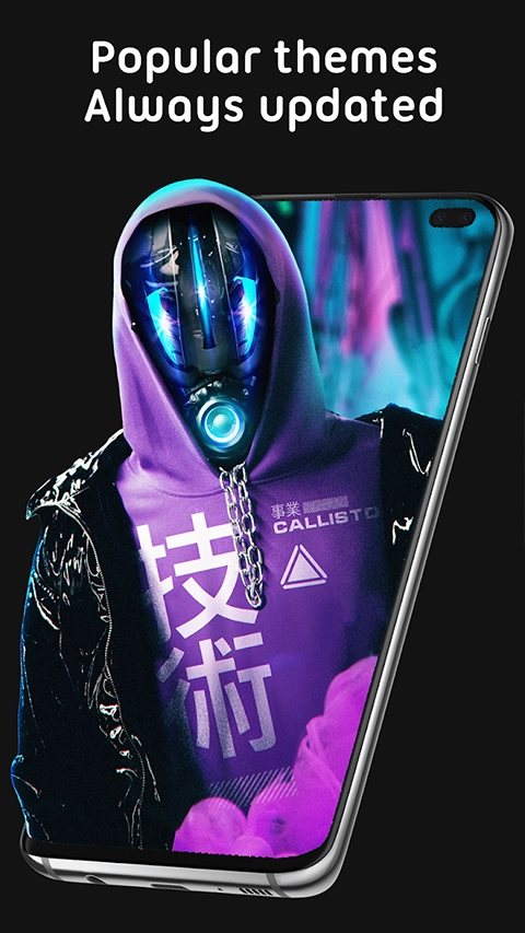 pixel4d壁纸安卓免费版图2