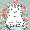 花与香水与猫通用版