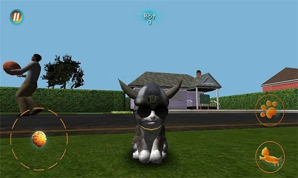真实小猫3d模拟安卓免费版图2