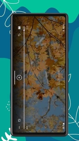 RS播放器免费原版图4