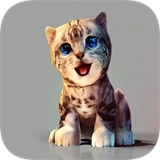 真实小猫3d模拟安卓免费版