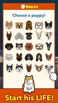 DogLife官方最新版图3