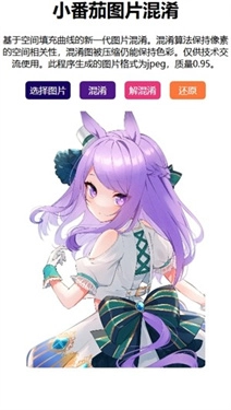 小番茄图片混淆工具手机最新版图2