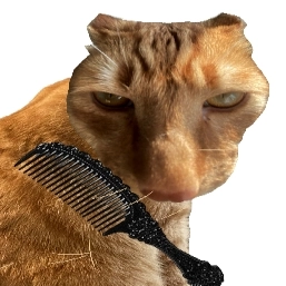 给猫梳毛最新版 v1.0