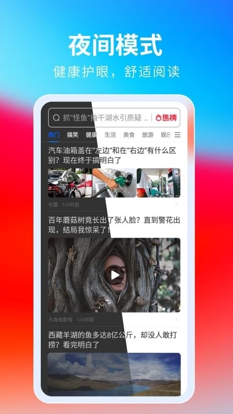 飞觅浏览器本正版图1