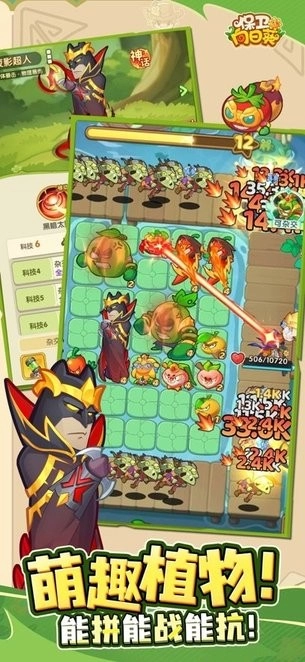 保卫向日葵官方正版图2